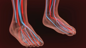 How Exercise May Improve Circulation